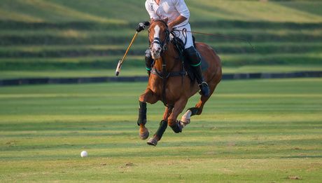 Charity Polo Henley